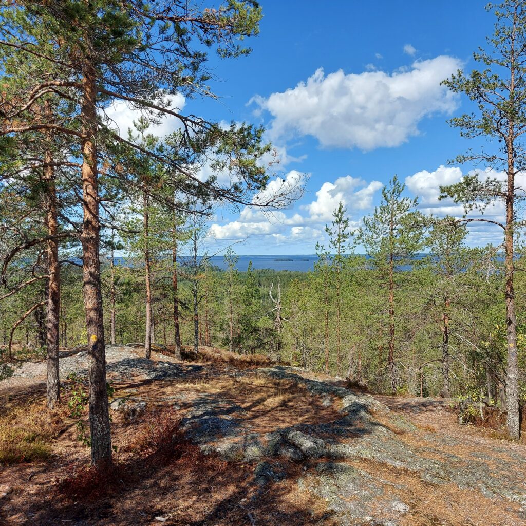 Aisapari haluaa parantaa alueemme matkailupalveluiden edellytyksiä.