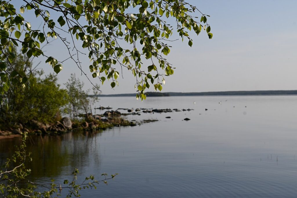 Järvimaisema.