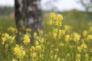 Anteeksiannossa on valtava voima, kirjoittaa Ritva Lamminen. Arkistokuva: Eija Pippola.