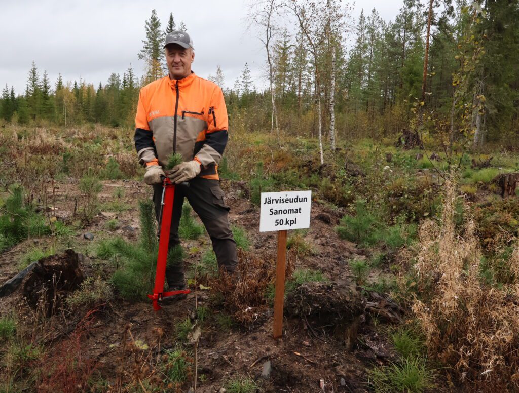 Järviseudun Sanomat omistaa metsäalueelta 50 kappaletta männyn taimia, jotka Vesa Liikala istutti vastikään maastoon.