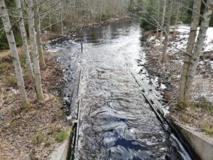 Kuva Kaarenhaaran säännöstelypadolta Evijärvellä. Kuva Heli Jutilalta.