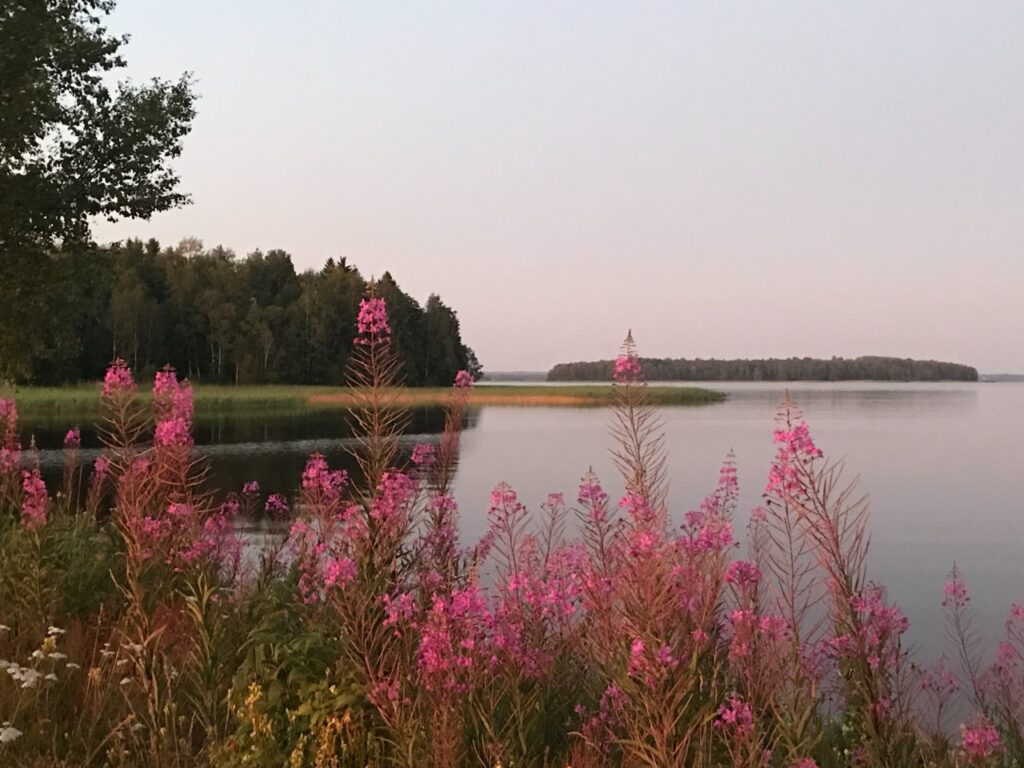 Meidän on tunnustettava se tosiasia, että hyvinvoiva maaseutu keskustaajamien ympärillä varmistaa niidenkin tulevaisuuden, kirjoittaa Marja Latvala. Kuva: Sointu Ketola.