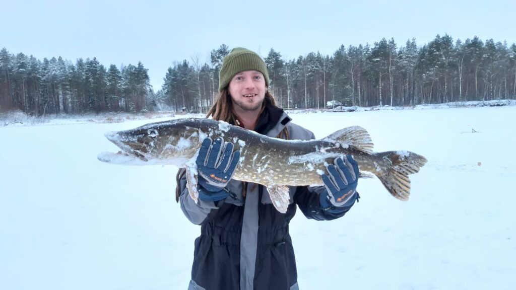 Tämä 10,2 kilon hauki nousi Kortesjärven Palojärvestä syöttiongella. Kuva: Jaakko Erkinheimo.