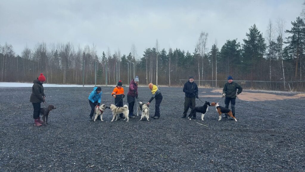 Kolea kevätsää karsi osallistujia ensimmäisissä näyttelyharjoituksissa. Kuva Viiperiltä.