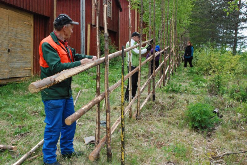 Riukuaidan tekoa perinnepäivässä vuonna 2016.