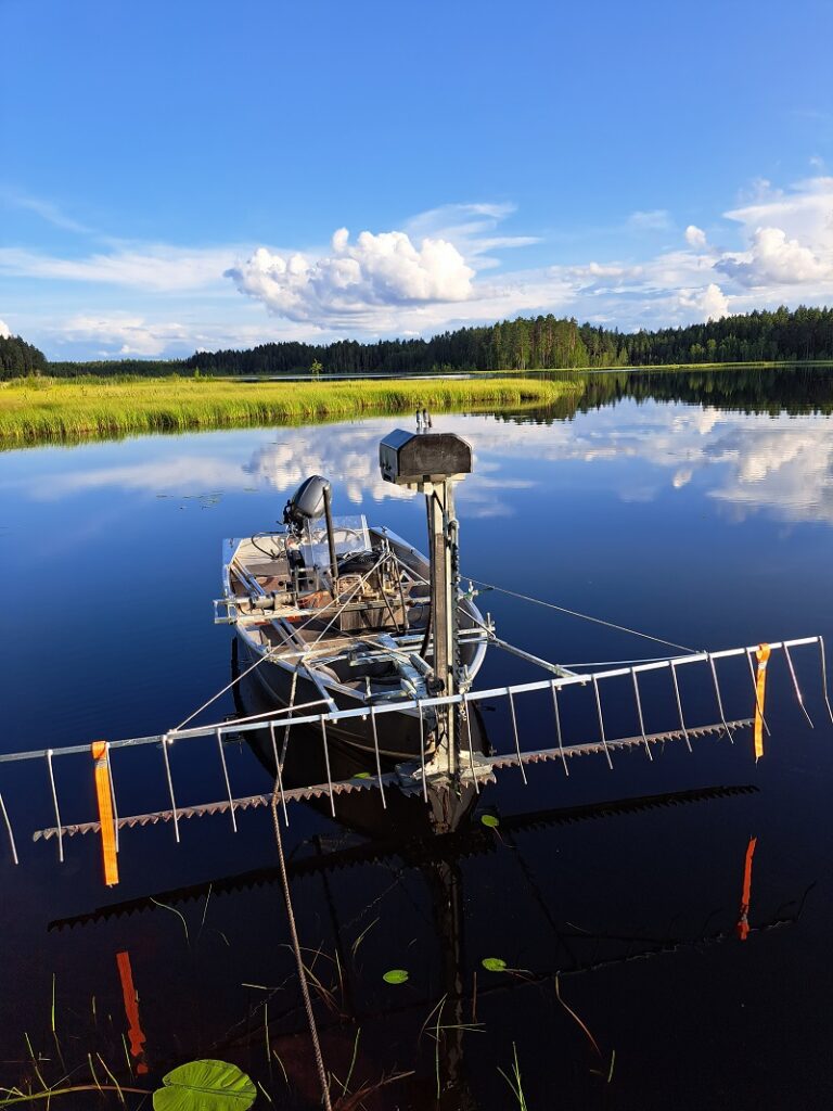 Saarijärven lumpeikkoja niitetään koneellisesti kesäisin.