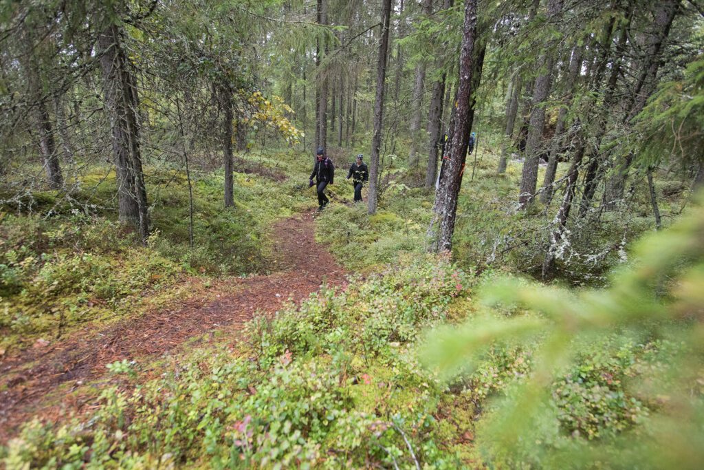 Kuvituskuva: Jussi Metsäpelto/Alajärven kaupunki