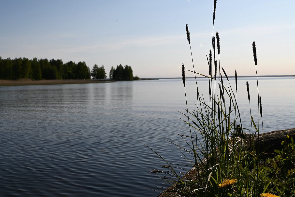 Suomessa hukkuu vuosittain 100–150 ihmistä.