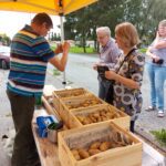 Yrjö Mäkelän kojulla Vimpelin K-Market Vedon pihassa riitti torstai-iltapäivänä mukavasti asiakkaita. Matti ja Anne Hongon matkaan kojulta lähti perunaa ja hunajaa.