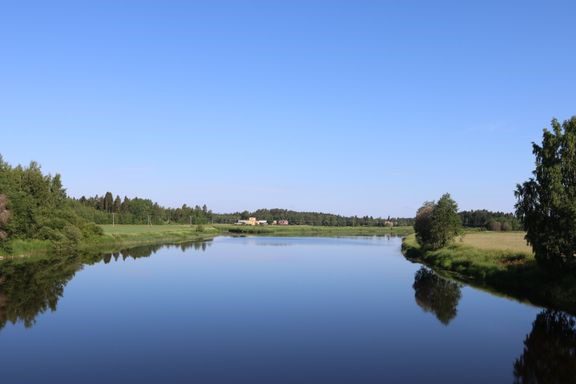 Epävakainen sää on rauhoittanut sinilevätilannetta, ja pohjalaismaakuntien alueella pintavesien lämpötilat ovat laskeneet viime viikkoon nähden. Kuvituskuva. Etelä-Pohjanmaan ELY-keskus