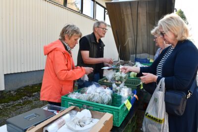 Sirkka Silvonen ja Juhani Rajala myivät Rajalan tilan satoa. Kirsi Kujalan mukaan lähti ruusukaalia. Takana Maire Peuranen.