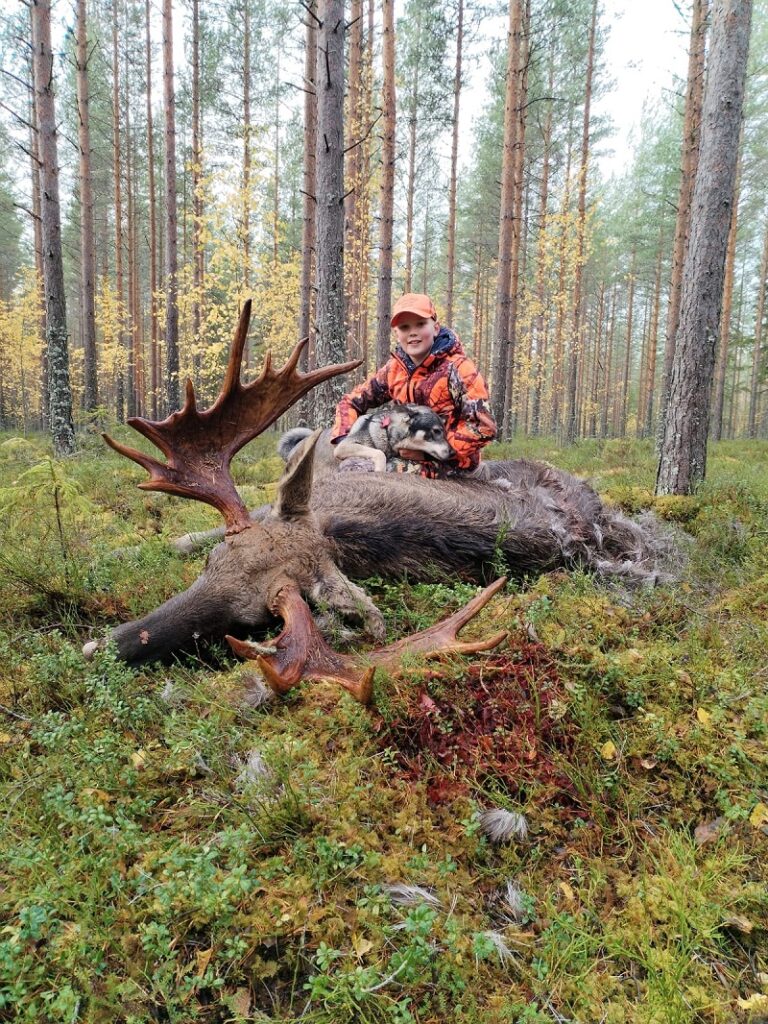 Neljätoistatappinen sonni on kaatunut, kaatomiehenä Sampo Lammi ja haukkujana Kovakarkon Kara.