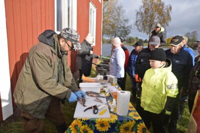 Purmojärvellä nuotattiin särkikalaa, tutustuttiin kalan perkaukseen ja maisteltiin järvikalaa. Lähikalan saatavuuden ja käytön edistämiseksi järjestetty tapahtuma oli osa kolmivuotista hanketta. Yleisölle maistui pannulla paistettu tuore kala ja Marko Paloniemen kalankäsittely kiinnosti. Kuva: Maija Perälä.