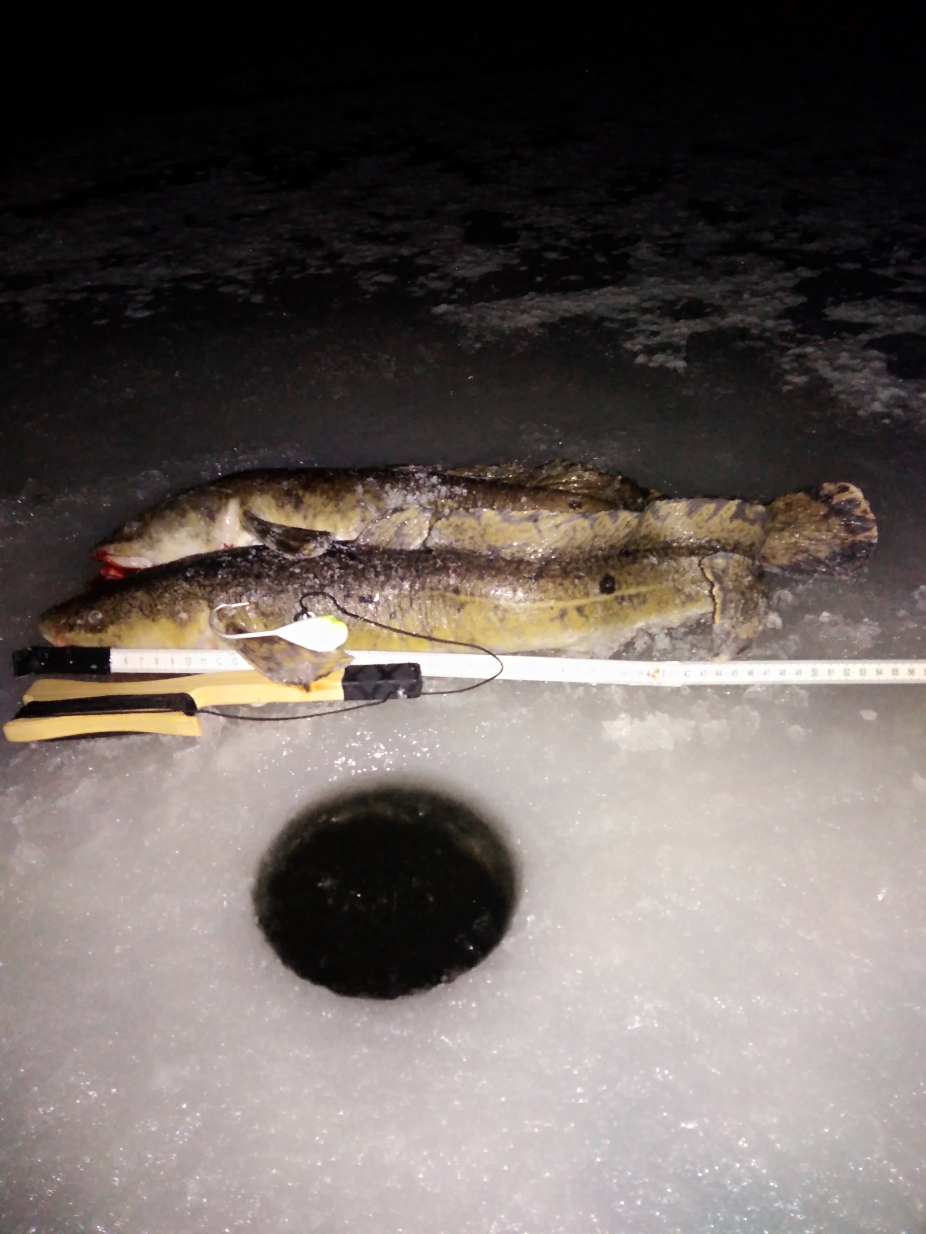 Suomen Vapaa-ajankalastajat haastaa madepilkille – ja jos jäätä ei ole,  madeongelle - Järviseudun sanomat